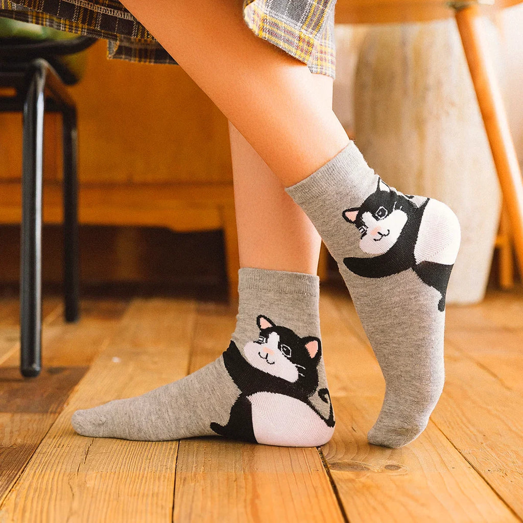 Lot De 5 Chaussettes Hautes Animaux Talons