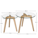 Set of 2 Venus Coffee Tables - Transparent
