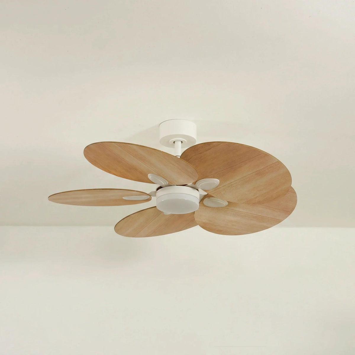 Lotus Tinte Roble | Ventilador De Techo – Ø 105 Cm