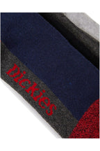 Chaussettes Cushion Crew - Assorted Colour - Mixte