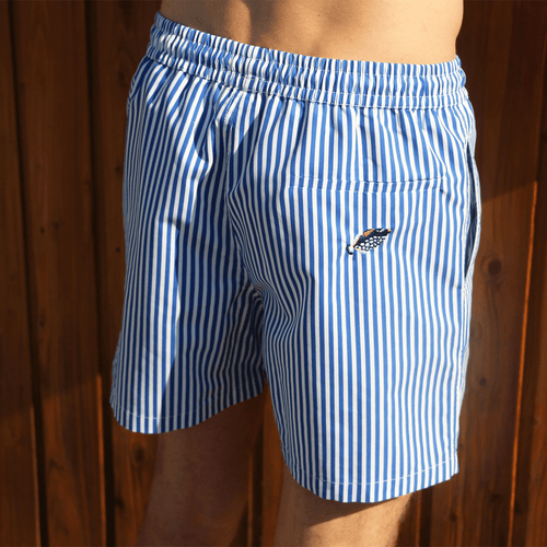 Swim Shorts - The Striped Triggerfish
