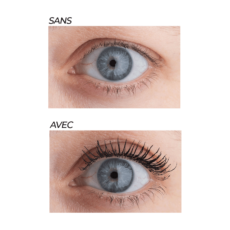 Le rituel Best-Seller