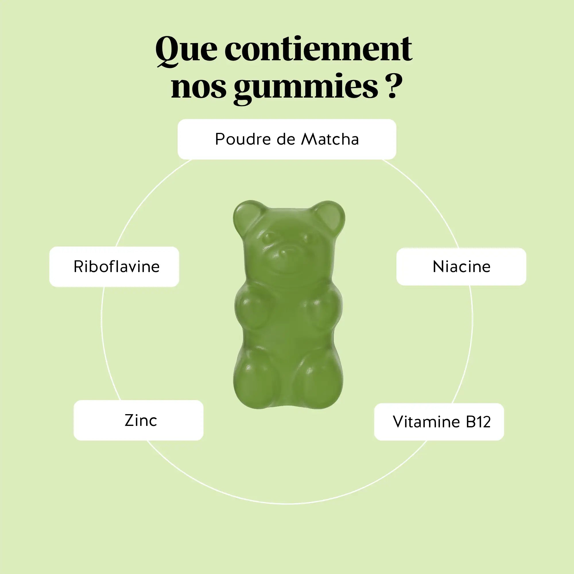 Matcha - Métabolisme & Énergie