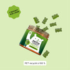 Matcha - Métabolisme & Énergie
