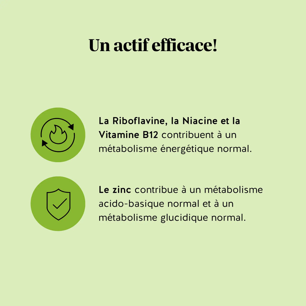 Matcha - Métabolisme & Énergie