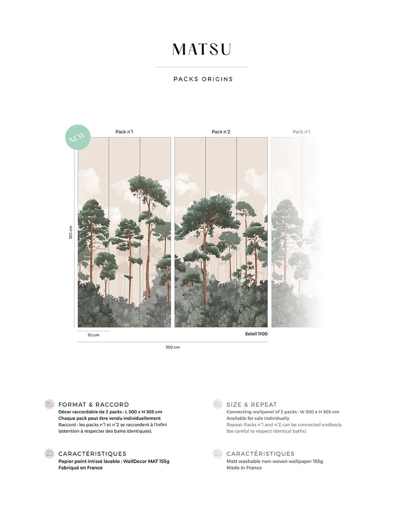 Fresque Matsu - Soleil