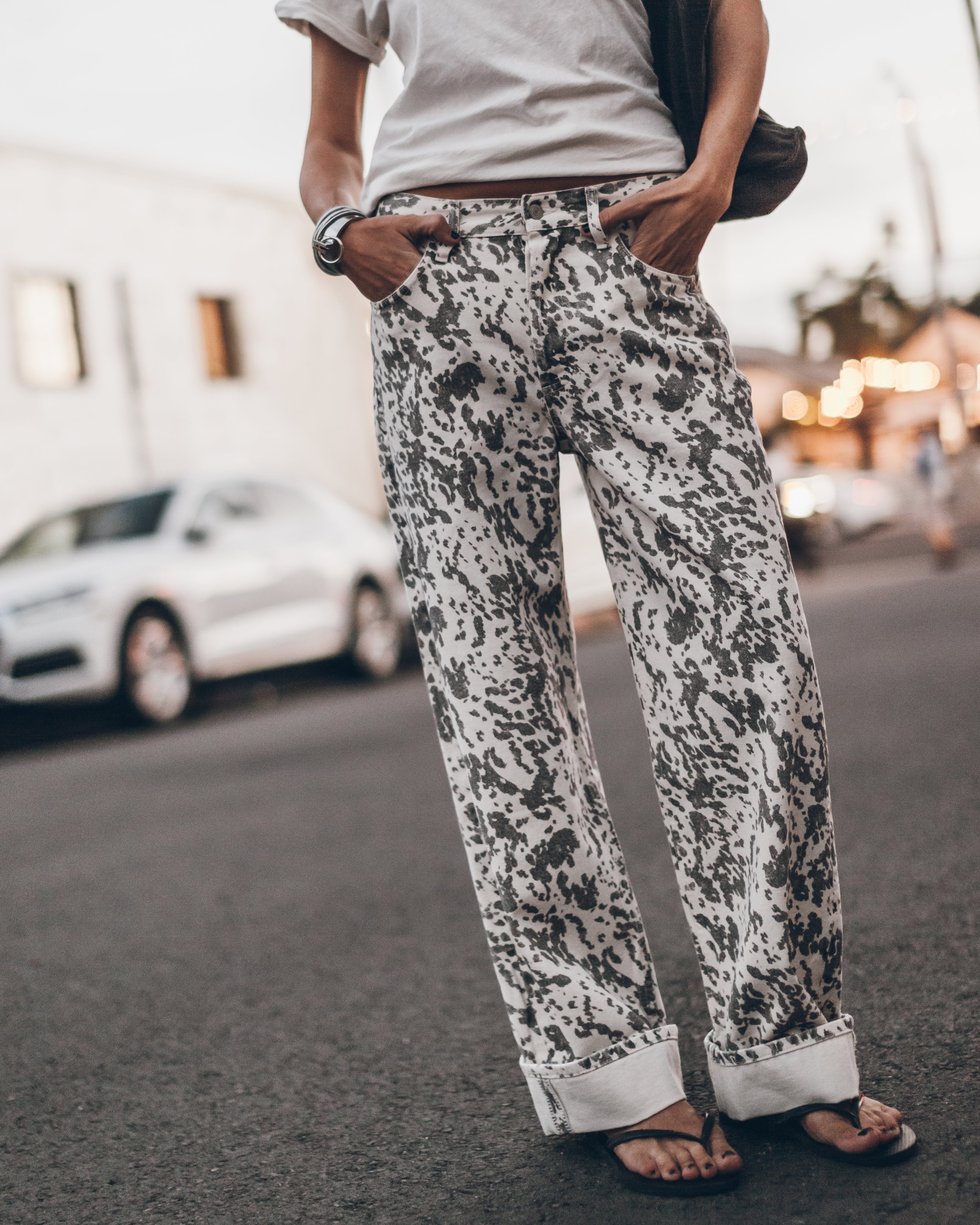 Jean The Dalmatian