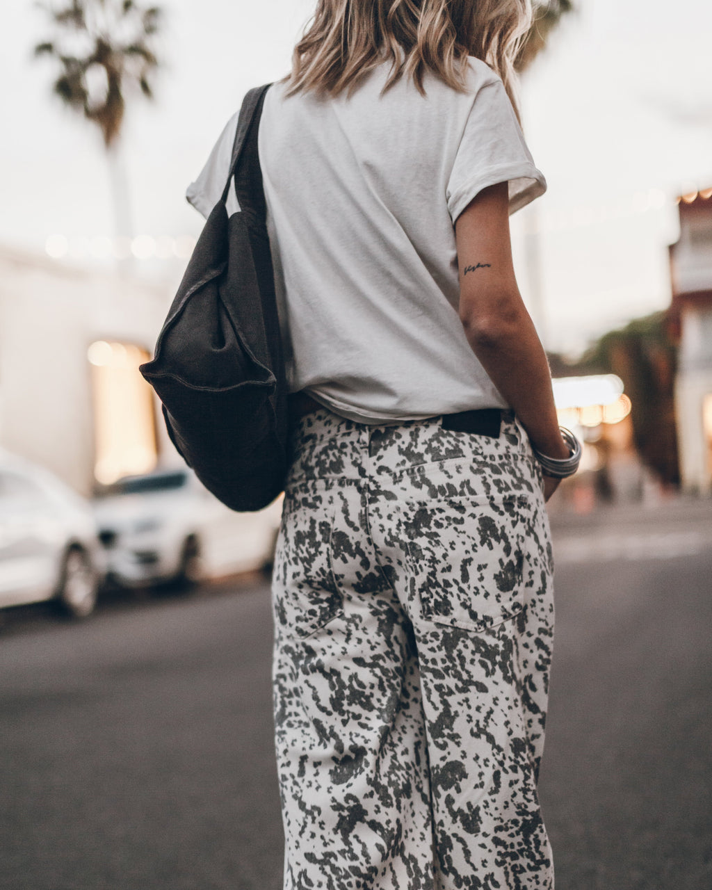Jean The Dalmatian