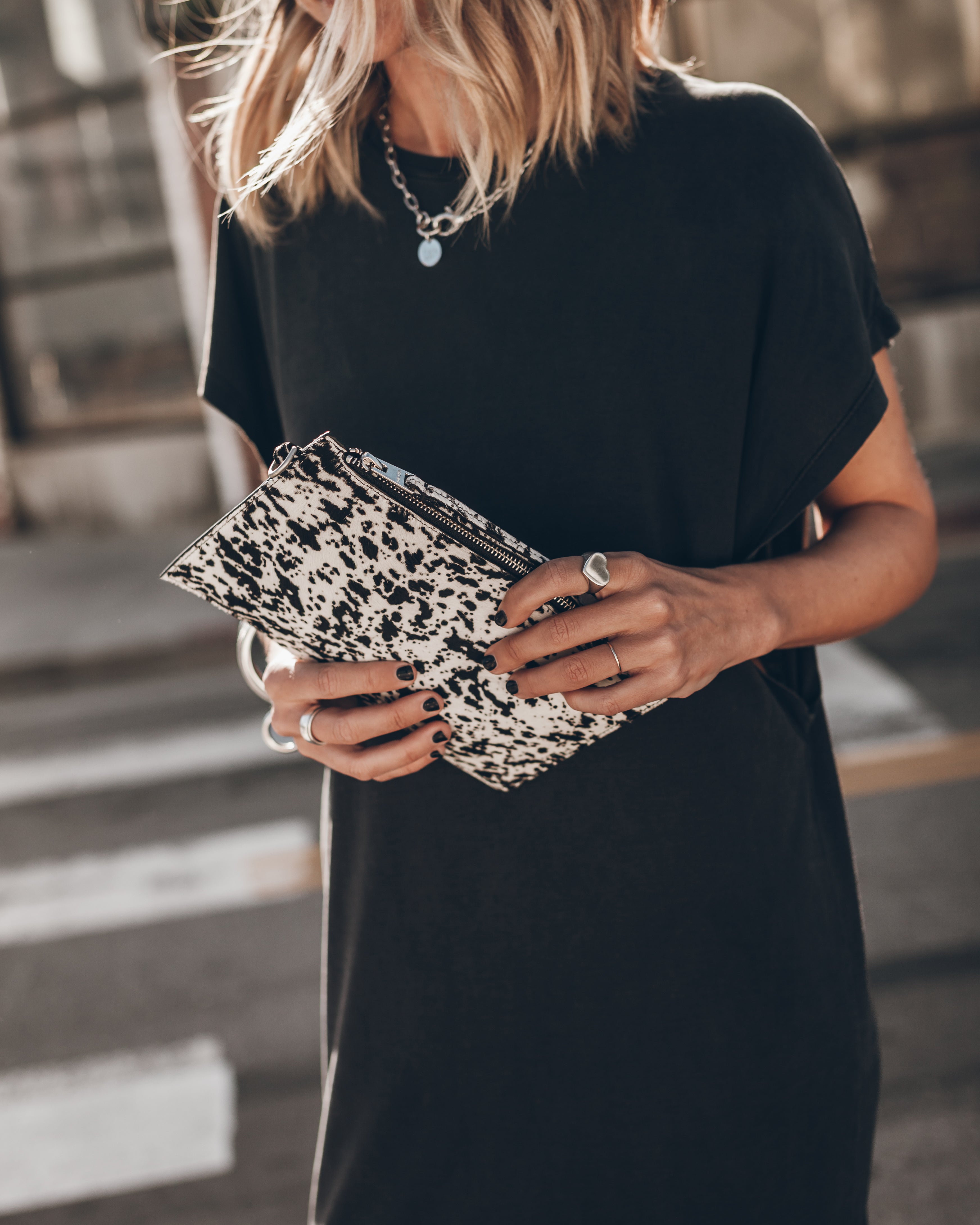 Pochette The Dalmatian