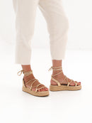 MIM Plataforma Baja ALAN DORADO