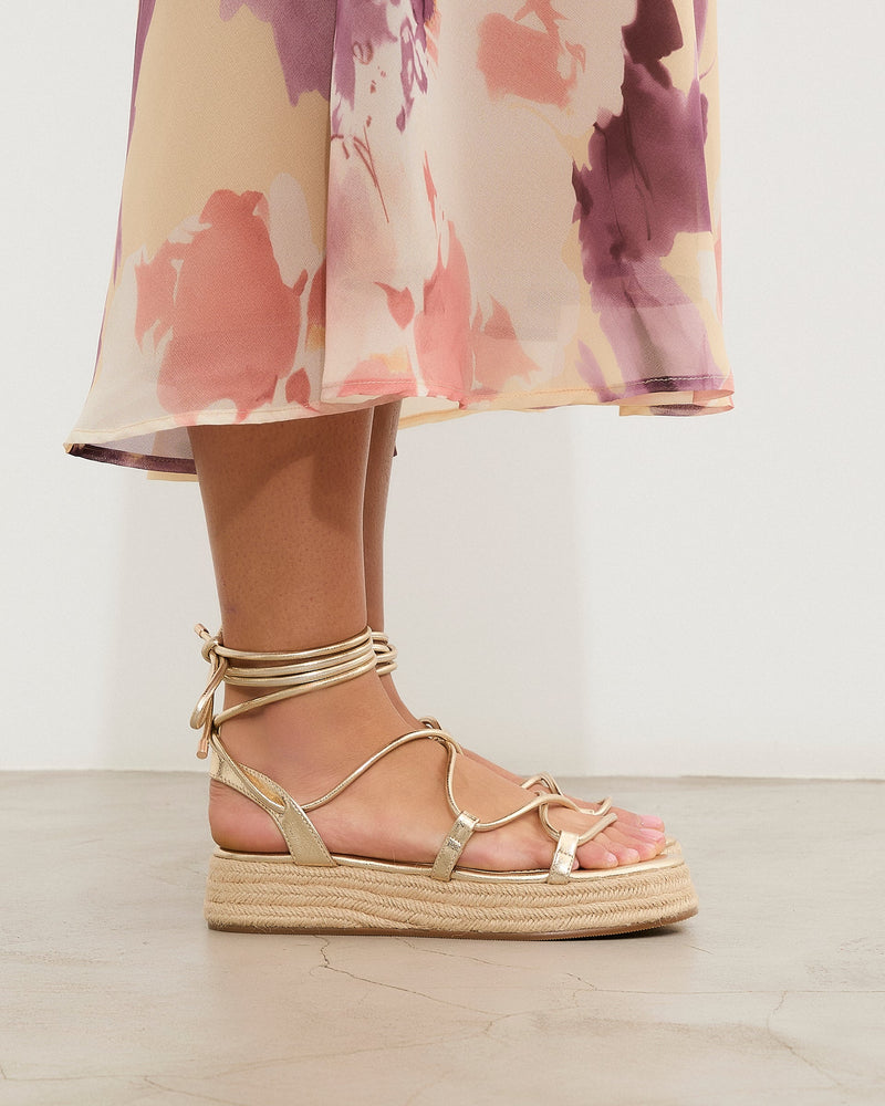 MIM Plataforma Baja ALAN DORADO