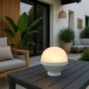Led module - Lily