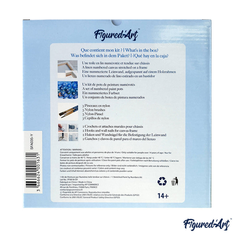 Mini Peinture Par Numéros 20X20Cm Avec Cadre Corolle De Rose