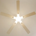 Mistral | Ventilateur De Plafond – Ø 141 Cm