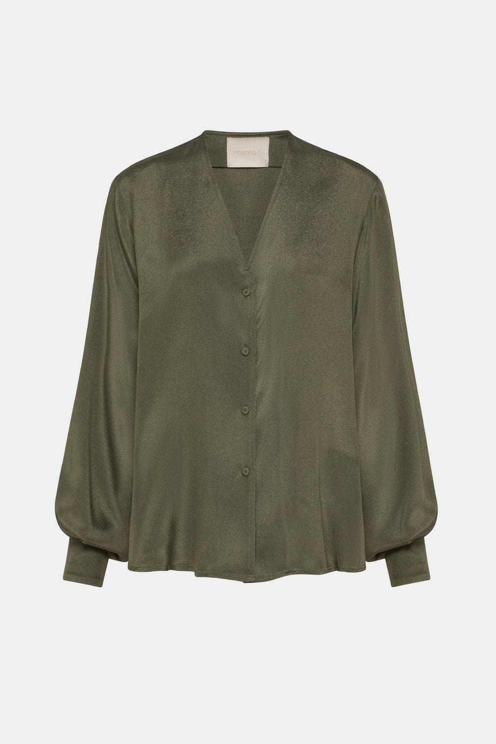 Chemise Lentinula