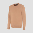 Pull Crew Neck 100% Merino - Tuscan Camel