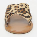 White Sun - Mules Lanruen - Cuero Pony Leopardo - Leopardo