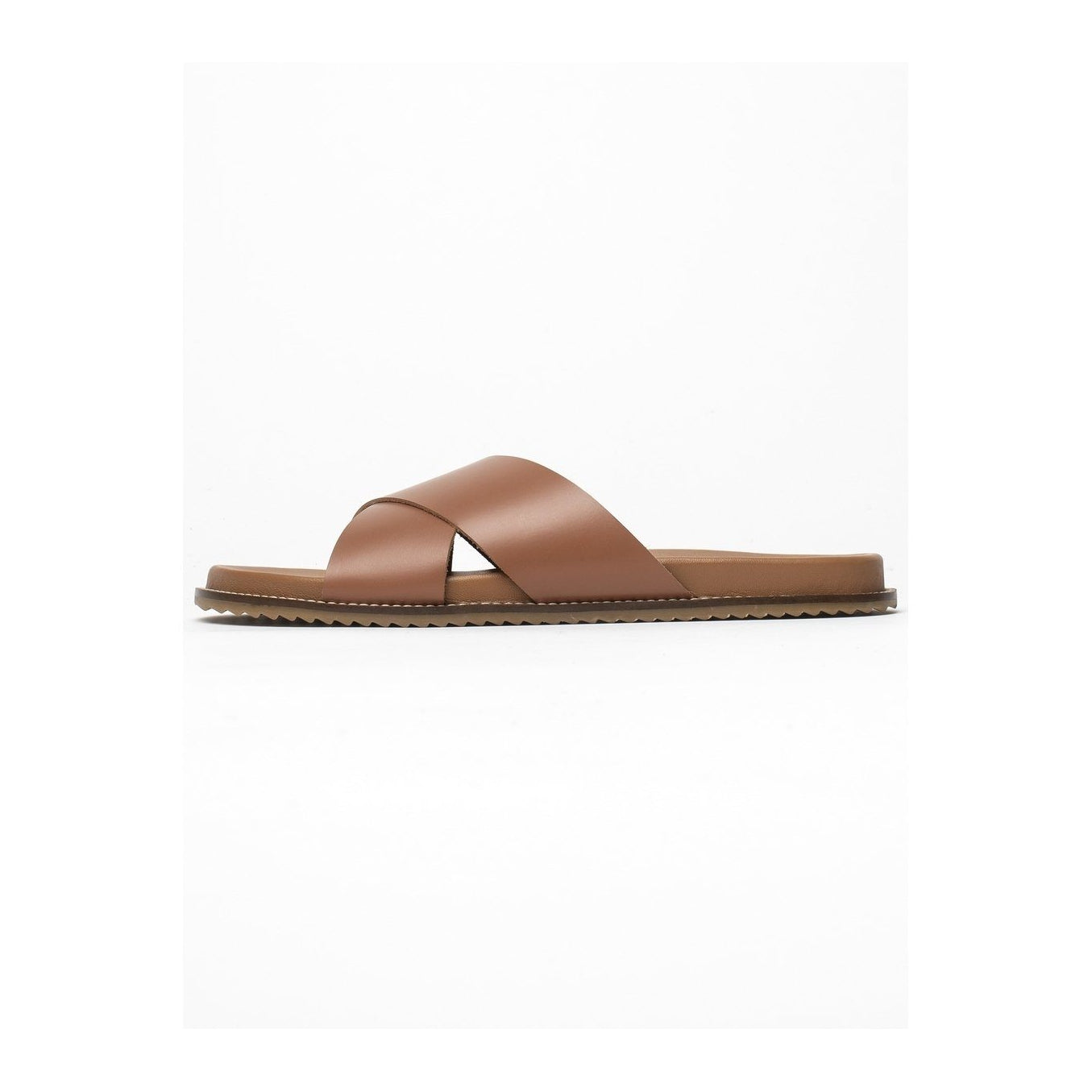 White Sun - Loutsian Mules - Camel Buff - Camel