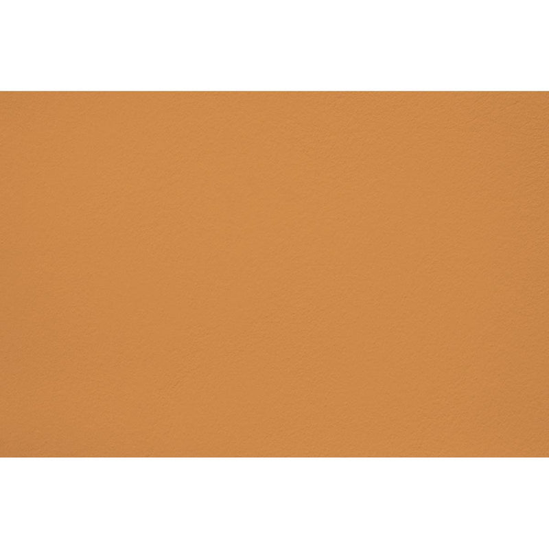 Peinture Colonel mustard appliquée sur un mur - teinte jaune moutarde