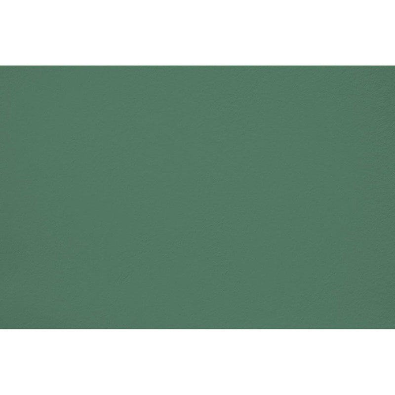 Peinture Jungle elixir appliquée sur un mur - teinte vert jungle