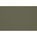 Peinture Pitchy olive appliquée sur un mur - teinte vert olive fonce
