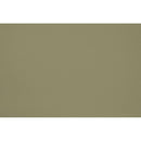 Peinture Sage words appliquée sur un mur - teinte verte