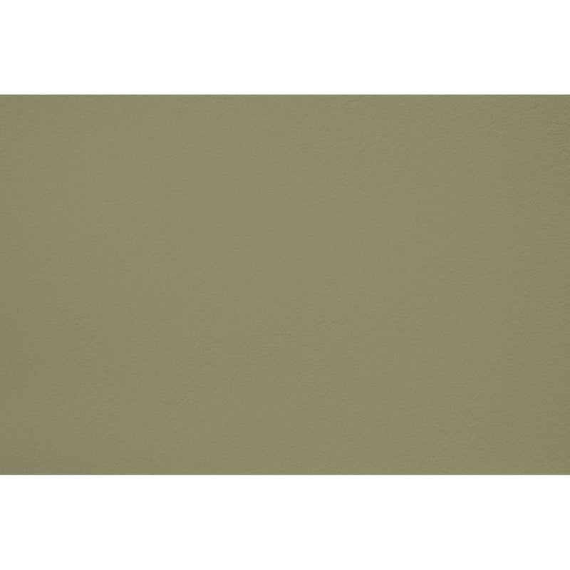 Peinture Sage words appliquée sur un mur - teinte verte