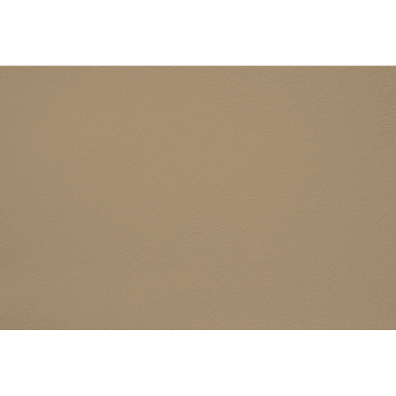 Peinture Sleepy olive appliquée sur un mur - teinte vert olive clair