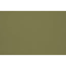 Peinture Tennis club appliquée sur un mur - teinte vert kaki