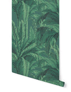 Musa Wallpaper - Green