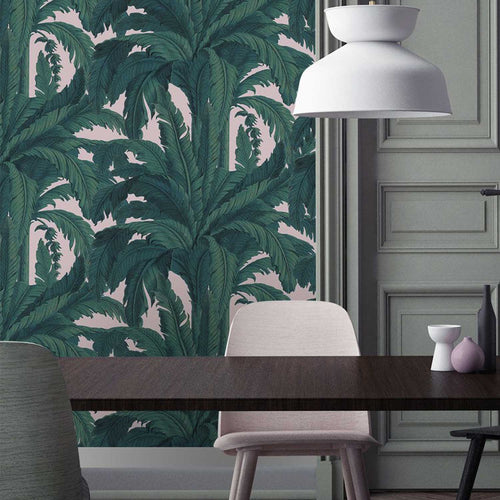 Musa Wallpaper - Pink