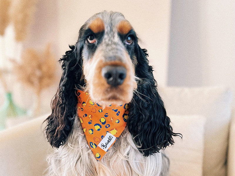 Bandana Léopard Néon Orange - Chien