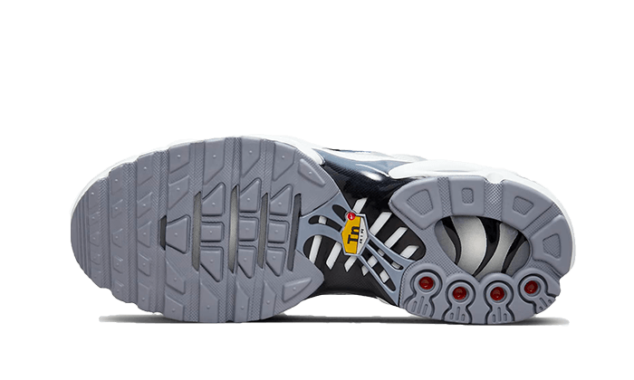 Air Max Plus Sail Grey - Blanc