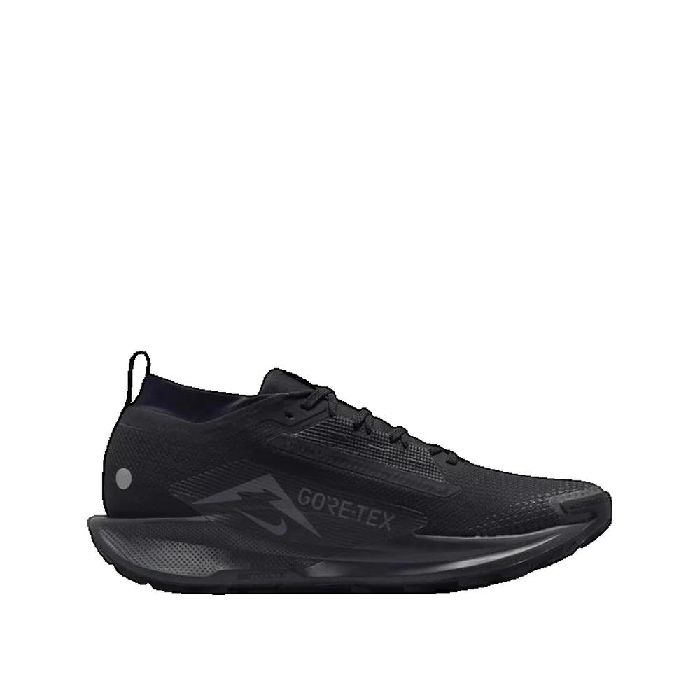 Baskets Pegasus Trail 5 Gore-Tex - Noir