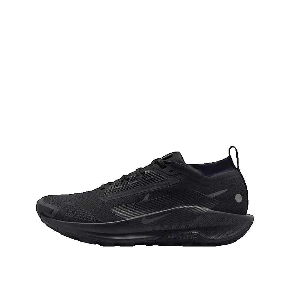 Baskets Pegasus Trail 5 Gore-Tex - Noir