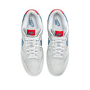 Baskets Dunk Low - Argenté