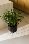 Maki Flower Pot – Large - Vulcano Black