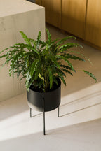 Maki Flower Pot – Large - Vulcano Black