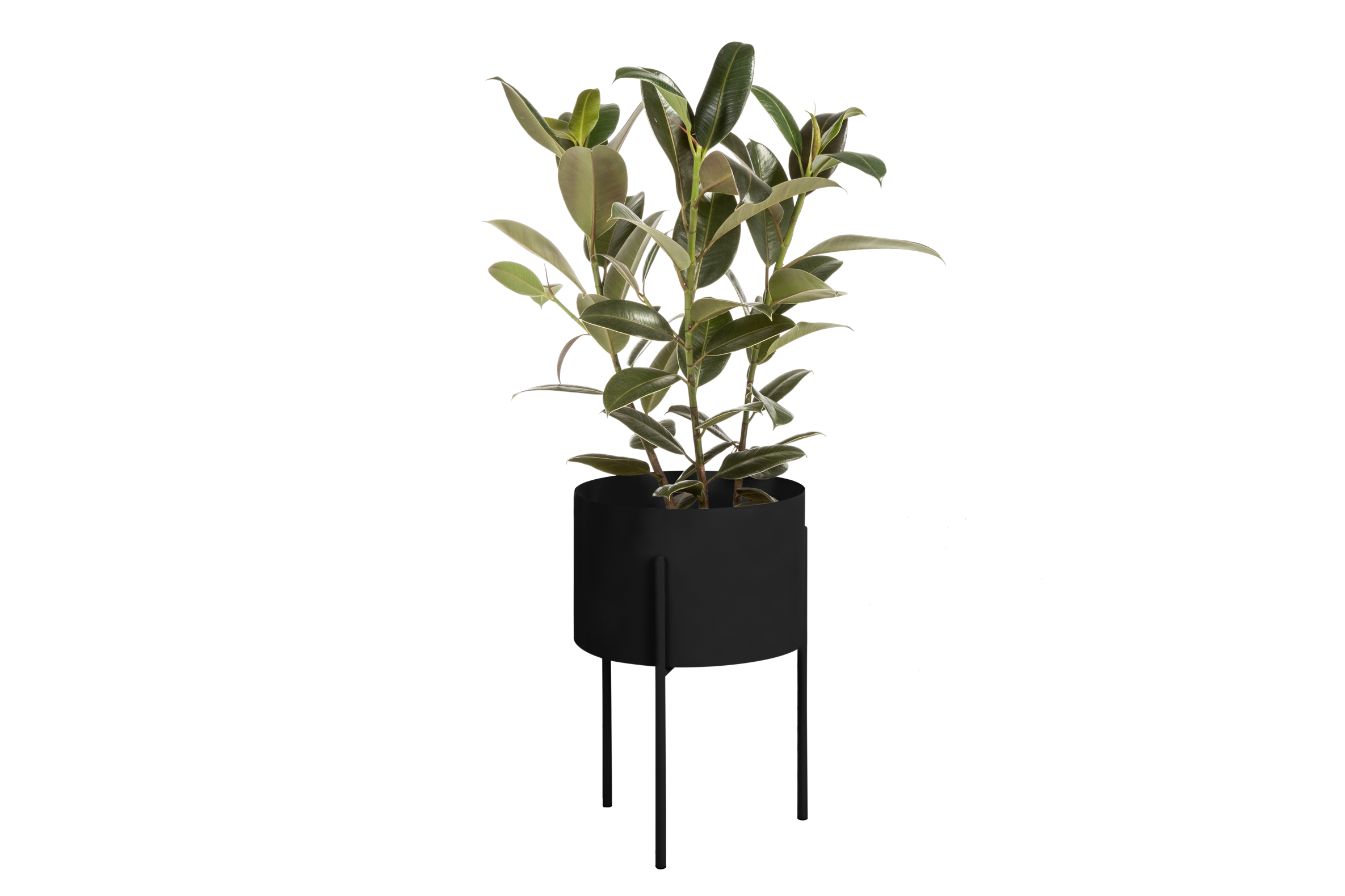 Maki Flower Pot – Large - Vulcano Black