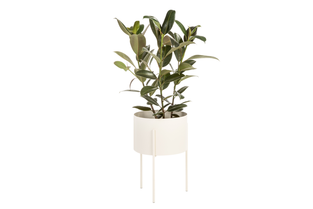 Maki Flower Pot – Large - Piazza Beige
