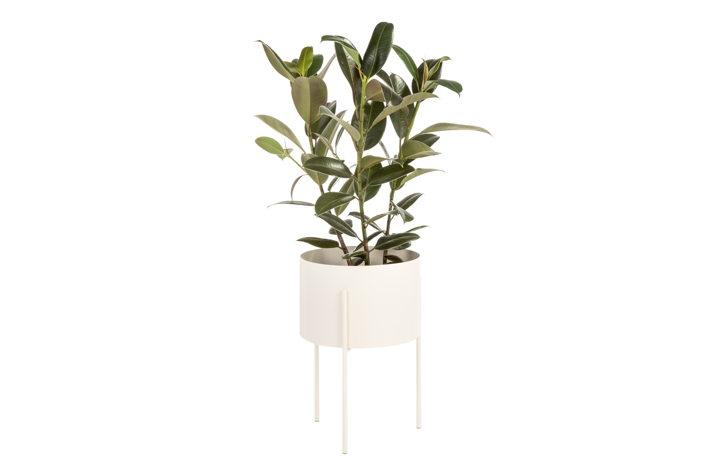 Maki Flower Pot – Large - Piazza Beige