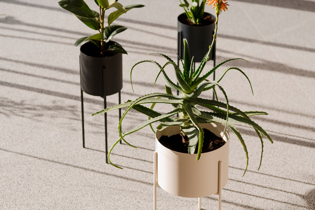 Maki Flower Pot – Large – Vulcano Black