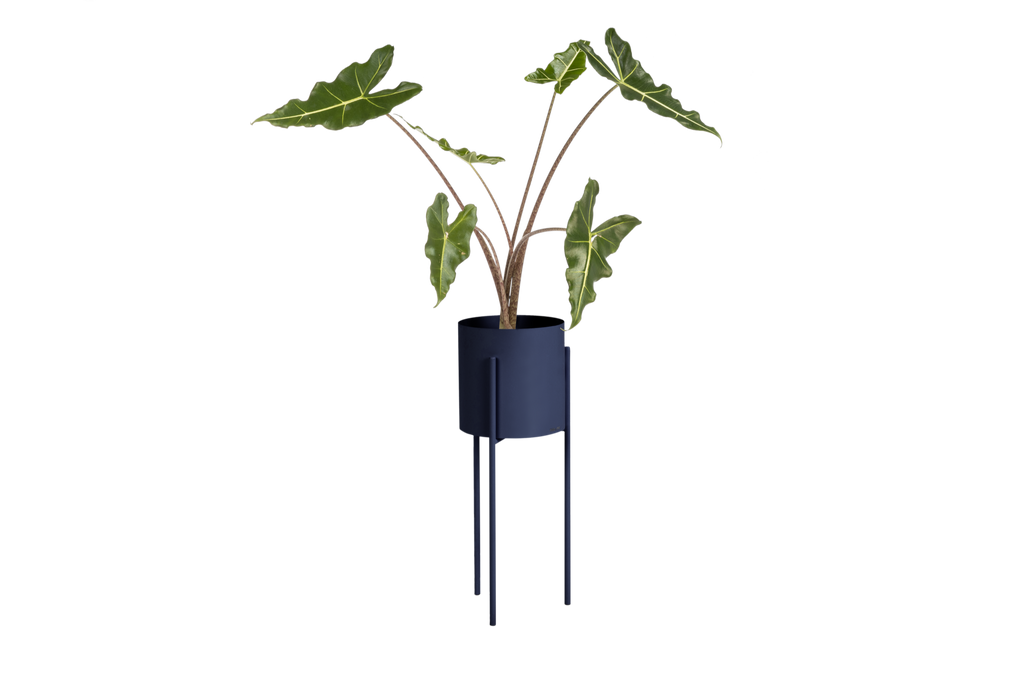 Maki Flower Pot – Large - Storm Blue