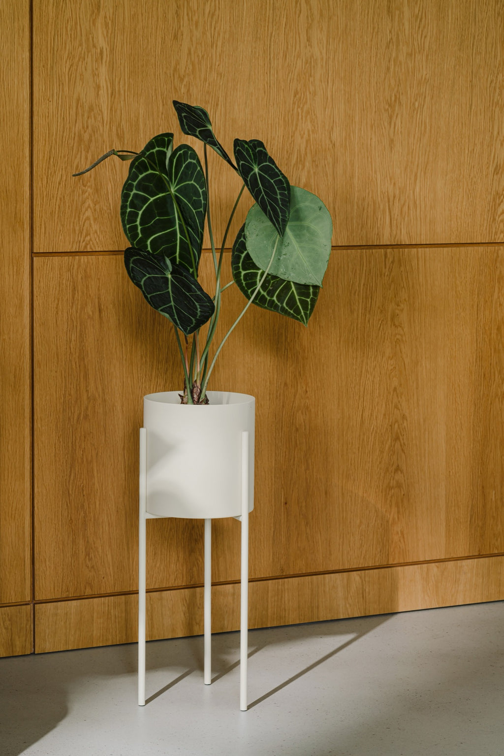 Maki Flower Pot – Large - Piazza Beige