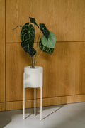 Maki Flower Pot – Large - Piazza Beige