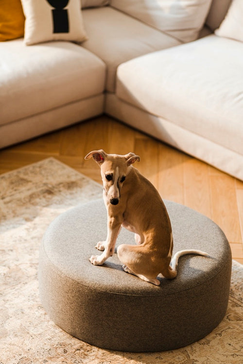 Pouf Folk - Large - Laine Grise Universelle