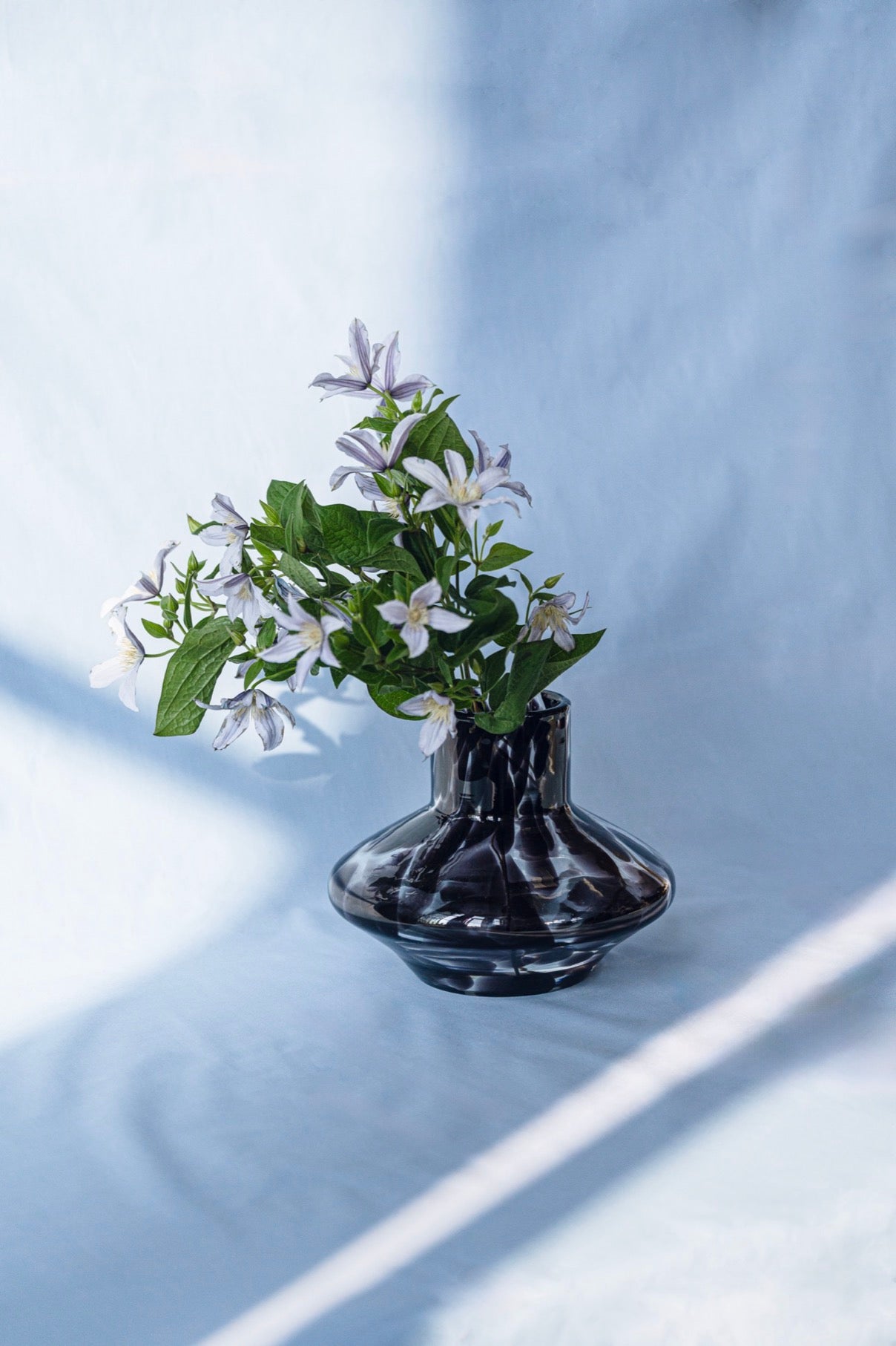 Glom - Vase - Verre - Black Spots