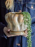 Hollis - Maceta Con Platillo - Natural - Gres