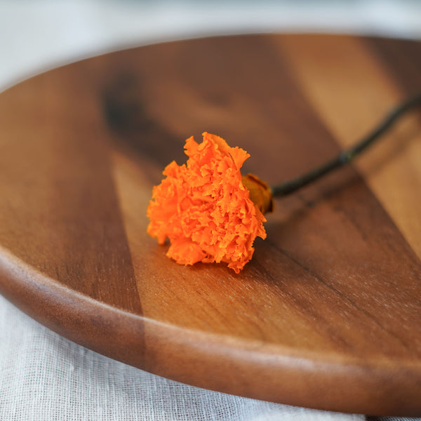 Orange Preserved Carnation