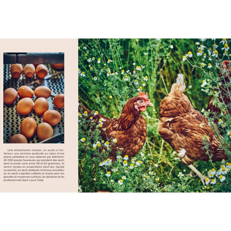 Les Fabuleux Cookies De Laura Todd - Le Livre Des 50 Recettes Iconiques